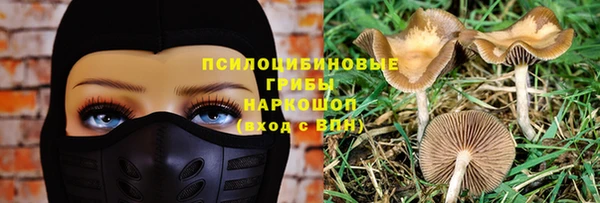 мдма Заводоуковск
