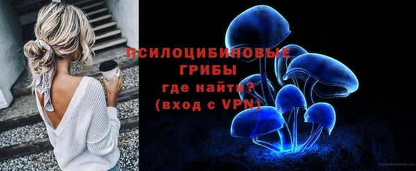 мдма Заводоуковск